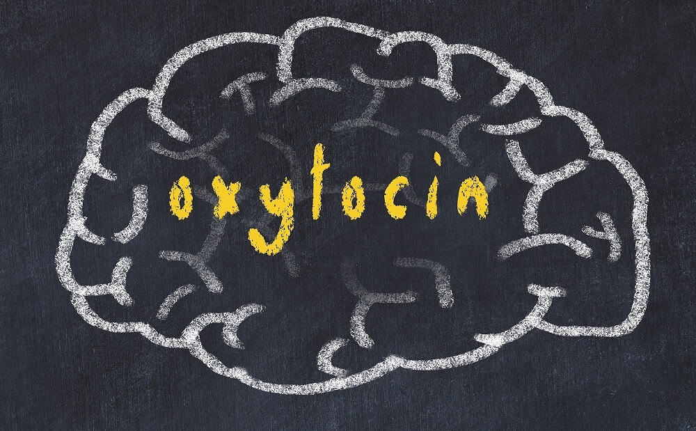 Οξυτοκίνη (Ωκυτοκίνη) — Oxytocin